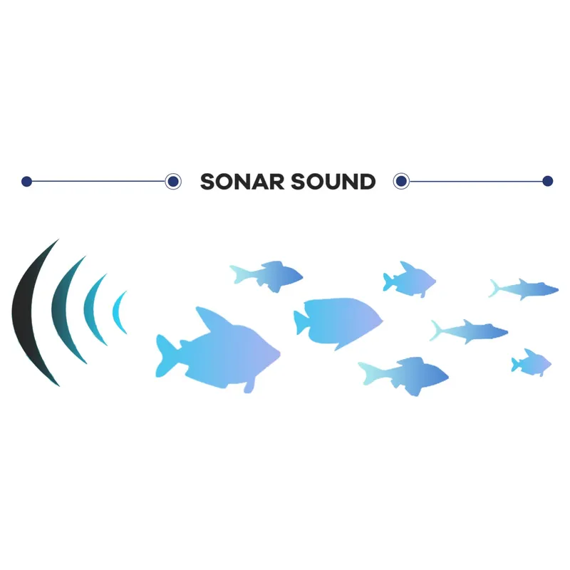 ONWA 12 Inch Commercial Fish F - Fish Finder Transducer 200Khz ulasan dan harga
